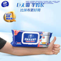 维达厨房清洁卫生湿巾(VW4002)