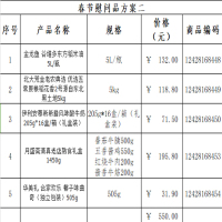 春节慰问品方案二