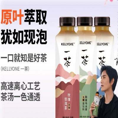 KELLYONE一茶茉莉白牡丹无糖茶450ml/瓶(1*15)整箱