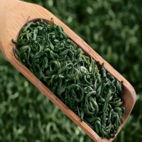 山间禾木 明前绿毛峰茶叶绿茶浓香型500g袋装 叶片厚叶梗粗 乌中带绿 耐冲泡 汤色清澈 茶味醇香 回味无穷