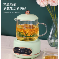 乐扣乐扣电炖杯高硼硅杯身耐高温食品级材质更安全500ml 薄荷绿(型号EJK2454MIT)