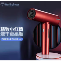 西屋(Westinghouse) 西屋高速大风量负离子护发吹风机 红色 H401