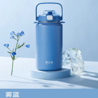 哈尔斯 LULU元气不锈钢提手杯 吸管保温杯 1200ml HGD-1200-001A 雾蓝