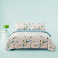 啄木鸟 云归棉涤磨毛四件套-克妮 ZHT-0041 200x230cm