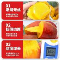 渔礼记 海南树熟贵妃芒果 净重6斤 时令尝鲜