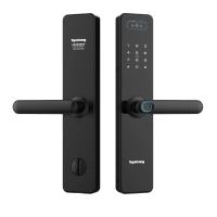 顶固(TopStrong)一握开人脸识别智能锁密码锁WT00F