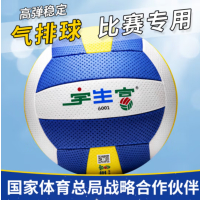 宇生富气排球比赛专用中老年人大学生青少年中小学生中考排球 7号 6001中文版