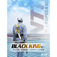 耐特尔NTR BK01款五点式安全带全身式坠落悬挂高空作业安全带+双绳缓冲大挂钩长1.2米 1套