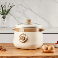 伊莱克斯电炖锅煲汤