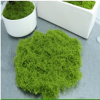 景观绿植小草盆景造景铺面苔藓丝装饰 200克/包 1包