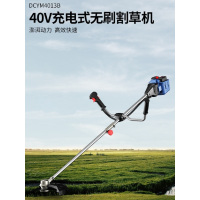 东成无刷40V割草机充电式锂电割灌机园林草坪修剪机-DCYM4013割草机4.0双电/双端充电器