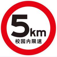 限速标识牌15公里600mm广角镜800mm含立柱安装 1套