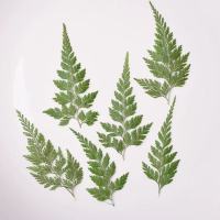 乌厥干花 1000片(1套)