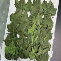 长春藤叶子干花1000片(1套)