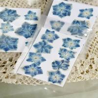 重瓣绣球干花1000片 蓝色(1套)