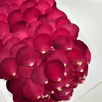 玫瑰花瓣干花1000片(1套)