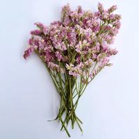 水晶草干花1000片(1套)