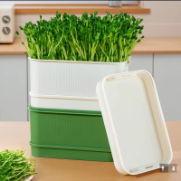 豆芽发芽盆育苗盘种植豌豆苗豆芽盒双层(1个)