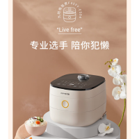 九阳(Joyoung)电饭煲家用大容量多功能电饭煲F40FY-F504 4L