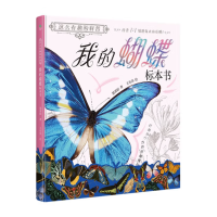 我的蝴蝶标本书科普启蒙标本书昆虫世界(1本)