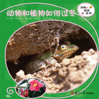 动物和植物如何过冬科学故事绘本(1本)