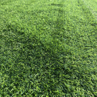 仿真塑料草坪地毯 足球场阳台楼顶造景户外草坪垫 1平方米/块