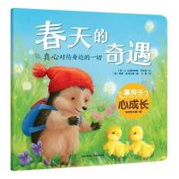 春天的奇遇儿童故事绘本(1本)