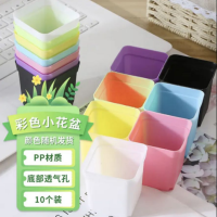 彩色小方盆多肉花盆育苗超小方塑料花盆10个装(颜色随机搭配)1组