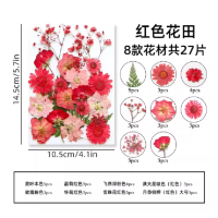 干花书签材料包小学生毕业纪念礼物植物标本-红色花田8款花材[27片]