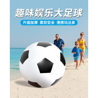 户外草地露营玩具幼儿园巨型皮球-充气大足球60CM+脚踩泵