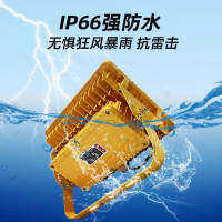 LED照明投光灯 IICT4-200W防爆灯 1个