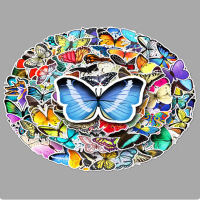 彩色蝴蝶贴纸 美丽昆虫防水108张(1包)