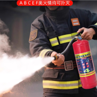 手提式干粉灭火器 新国标2025 6KG 1个