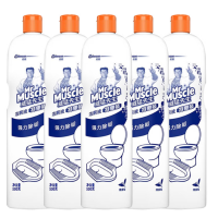 洁厕剂 洁厕灵洁厕液 马桶清洁除垢除异味 500g*5 1箱