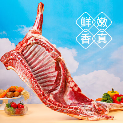 鲜吉仙礼盒 24年广东农垦鲜吉仙宁夏滩羊2366型7500g