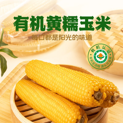 燕之坊 有机黄糯 玉米礼盒 1.9kg