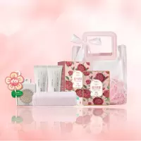 春日序章 女神香氛滋润套装WY0002
