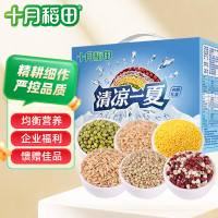 十月稻田清凉一夏2.4kg