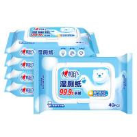 心相印 湿厕纸系列 湿巾5包套装 5XCY040