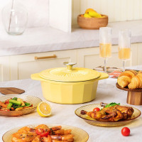 康宁(VISIONS)珐琅锅晶釉珐琅锅 22cm VS-DG22J006C/KZ