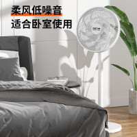 几素先科 电风扇FD-270机械款-标准款