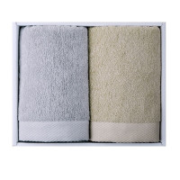 金号轻语毛巾2条装 ZL2107-2