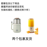 戴森膳魔师迷你破壁豆浆机+先锋果汁杯组合