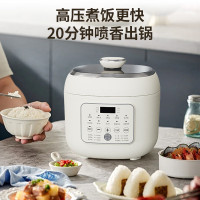 荣事达钛.电压力锅YDG50-100A221T