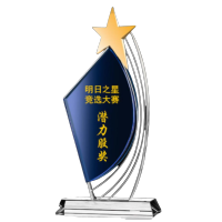成就之星奖杯