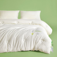 CALVERT KRIS新款A类抗菌保暖被秋冬加厚保暖被子被芯2米双人家用 抗菌保暖被 200cm*230cm