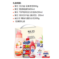 花王威立世家居清洁套装