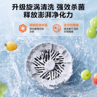 苏泊尔果蔬净化机GS10