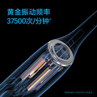 飞科 FLYCO 03电动牙刷 FT7105 深海蓝
