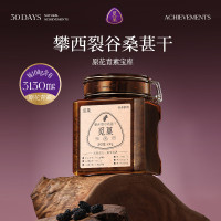 觅菓攀西裂谷桑葚干400g